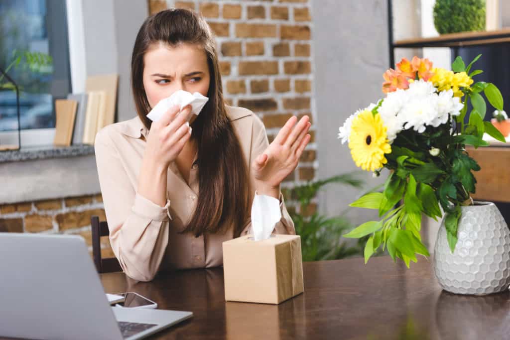 indoor allergens