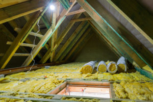 Can You Live With Mold In Your Attic?