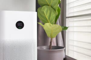 Air Purifiers: Worth The Investment?